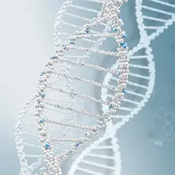 Fotoringiovanimento delle cellule