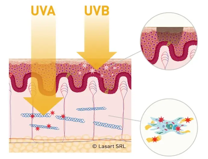 Effetti dei raggi UV sulla pelle