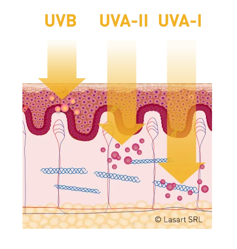 Schema della penetrazione dei raggi UVB, UVA-II e UVA-I nei diversi strati della pelle