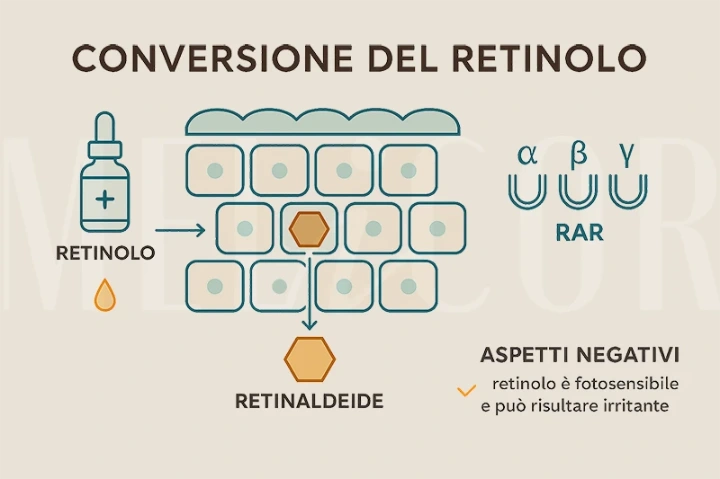 Conversione del retinolo con attivazione genica e effetti negativi