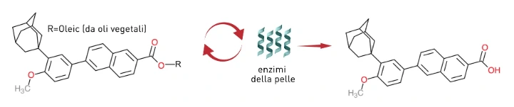 Rilascio enzimatico dell’adapalene attivo